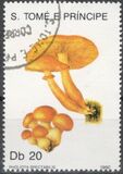 [Fungi, 类型 ABB]
