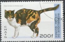 [Cats, タイプ ASM]