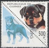 [Dogs, тып AVI]