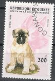 [Dogs, type ASH]