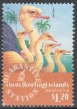 [Cocos Quarantine Station, Scrivi MK]