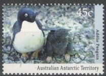 [Antarctic Wildlife, Tip CL]