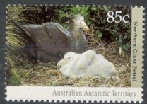 [Antarctic Wildlife, Tip CN]