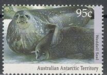 [Antarctic Wildlife, Tip CO]