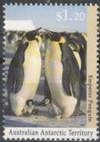 [Antarctic Wildlife, Tip CP]