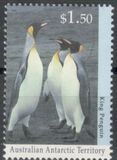 [Antarctic Wildlife, Tüüp CS]