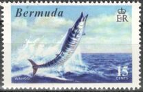 [World Fishing Records, Tip FN]