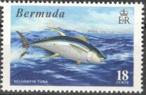 [World Fishing Records, Tip FO]