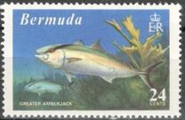 [World Fishing Records, Tip FP]
