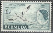 [Royal Visit - As White-tailed Tropicbird but Inscribed "ROYAL VISIT 1953", type BO]