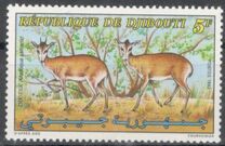 [Salt's Dik-dik, tyyppi MS]