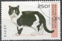 [Cats, type ASN]