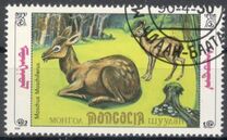 [Siberian Musk Deer, typ BWG]