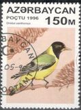 [Birds, type IO]