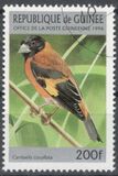 [Birds, Tip ARY]