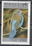 [Birds, Tip ARZ]