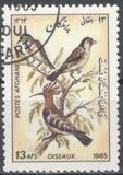 [Fauna - Birds, jenis ADC]