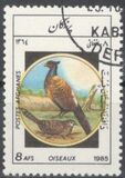 [Fauna - Birds, jenis ADB]