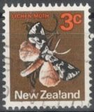 [Local Motifs, type SB]