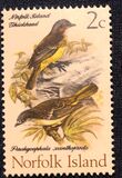 [Birds, type BS]