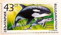 [Marine Mammals, tip ENI]