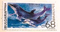 [Marine Mammals, tip ENK]