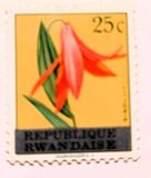 [Flowers - Issues of Rwanda-Urundi Overprinted "REPUBLIC RWANDAISE", प्रकार D]