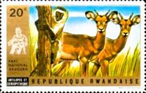 [Akagera National Park, Вид MC]