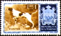 [Dog Breeds, Tip IC]