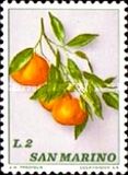 [Fruits, type ZZ]