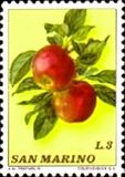[Fruits, type AAA]