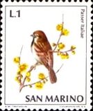 [Birds, Tipe YX]