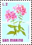 [Flowers, jenis YG]