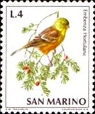 [Birds, Tipe ZA]
