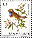 [Birds, Tipe ZB]