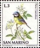 [Birds, Tipe YZ]