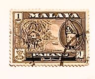 [Sultan Abu bakar Ri' ayad din Almutasin Shah ibn al marhum Almutasin Bilah Sultan Abdullah, tipo Q]