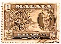 [Sultan Yahya Petra ibn al - marhum Sultan Ibrahim & Local Motifs, प्रकार Y]