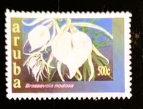 [Orchids, ประเภท KT]