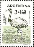 [Child Welfare - Birds, type QZ]