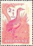 [Child Welfare - Birds, type QY]