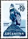 [Child Welfare - Birds, type QV]