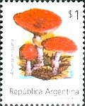 [Fungi, type BVH]