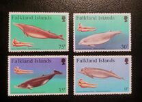 [Beaked Whales, loại WI]