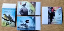 [Fauna - Brids, type DRH]