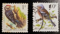[Birds, Вид BNH]