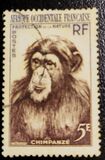 [Nature Conservation, Вид AW]