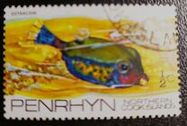 [Fish of the Pacific, ประเภท AC]