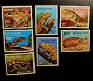 [Reptiles and Amphibians, tegund AH]
