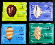 [Shells of the Coral Reefs, տեսակ AI]